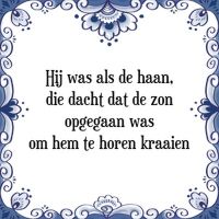 Hij was als de haan, die dacht dat de zon opgegaan was om hem te horen kraaien Hij was als de haan, die dacht dat de zon opgegaan was om hem te horen kraaien